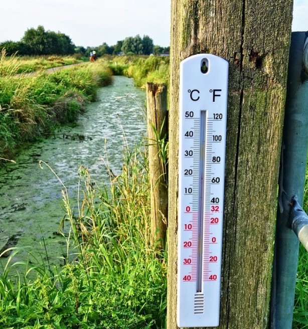 Hittegolven hebben voor België een kostprijs van zes miljard euro