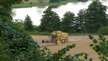 Copa-Cogeca trekt aan alarmbel over graanteelt, Vlaamse LCG nuanceert