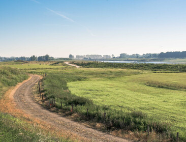 Automaten met streekproducten en zicht op de boer: Maasvallei ontwikkelt voedsellandschap