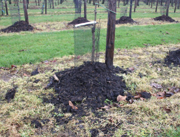 Kan een boer wat met CO2-opslag door beter bodembeheer?