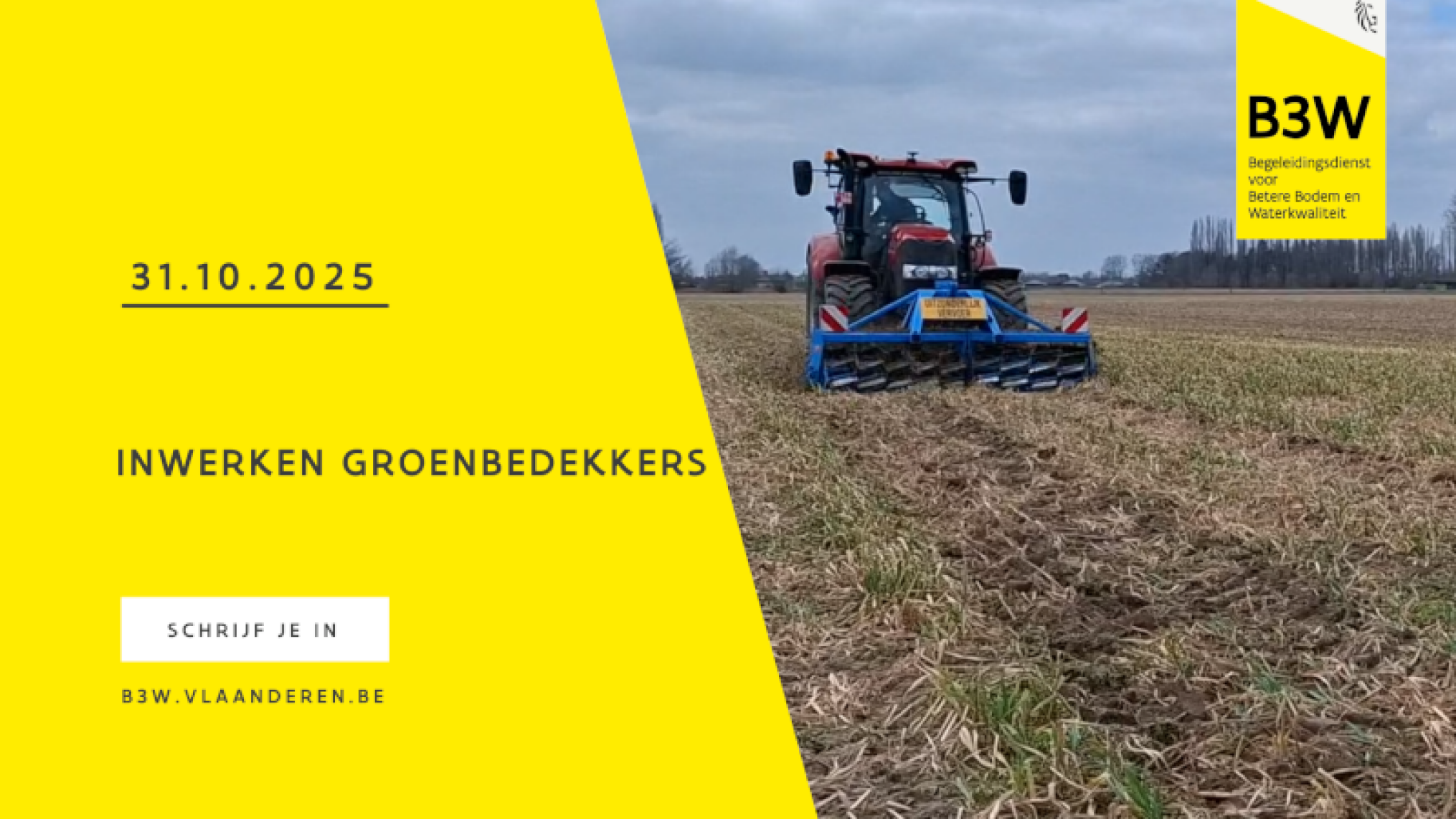 Thematisch uitwisselingsmoment inwerken groenbedekkers