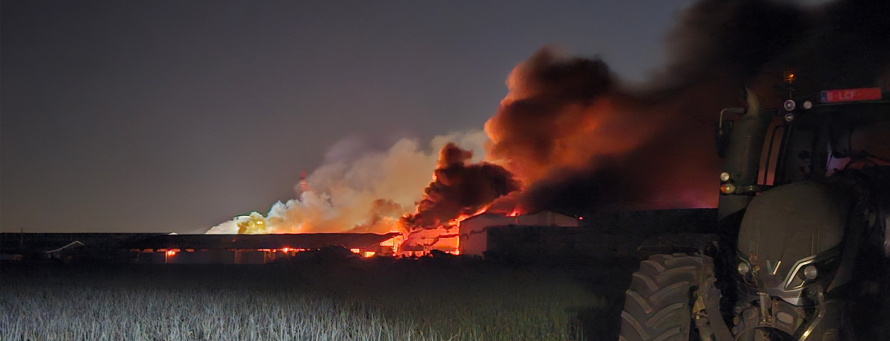 brand horafrost z.kent_staden