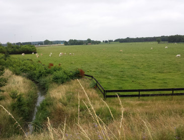 Van stikstof tot water: Waar wordt er bespaard in landbouw- en omgevingsbeleid?