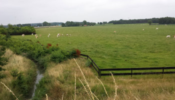 Van stikstof tot water: Waar wordt er bespaard in landbouw- en omgevingsbeleid?