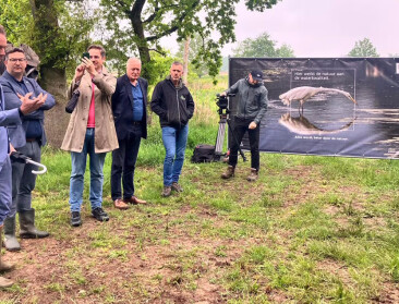 Nieuwe campagne moet Vlaming warm maken voor natuurherstel