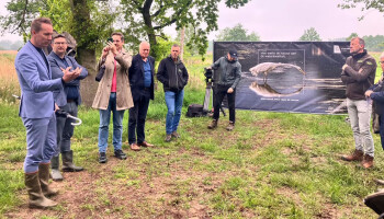 Nieuwe campagne moet Vlaming warm maken voor natuurherstel