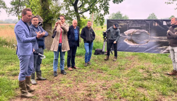 Nieuwe campagne moet Vlaming warm maken voor natuurherstel
