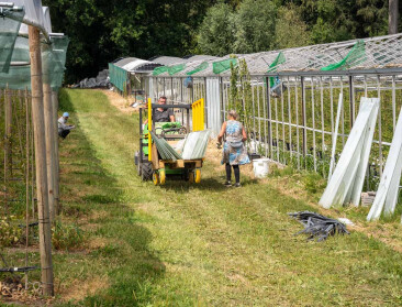 Grootste teler van stekelbessen verliest serre door hagel