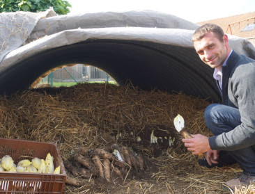 Witloofkroket sleept Food Waste Award in de wacht