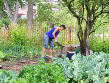 300.000 euro voor nieuwe projectoproep volkstuinen