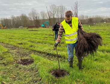 Vlaanderen telt 1.342 hectare extra bos in vergelijking met 2019
