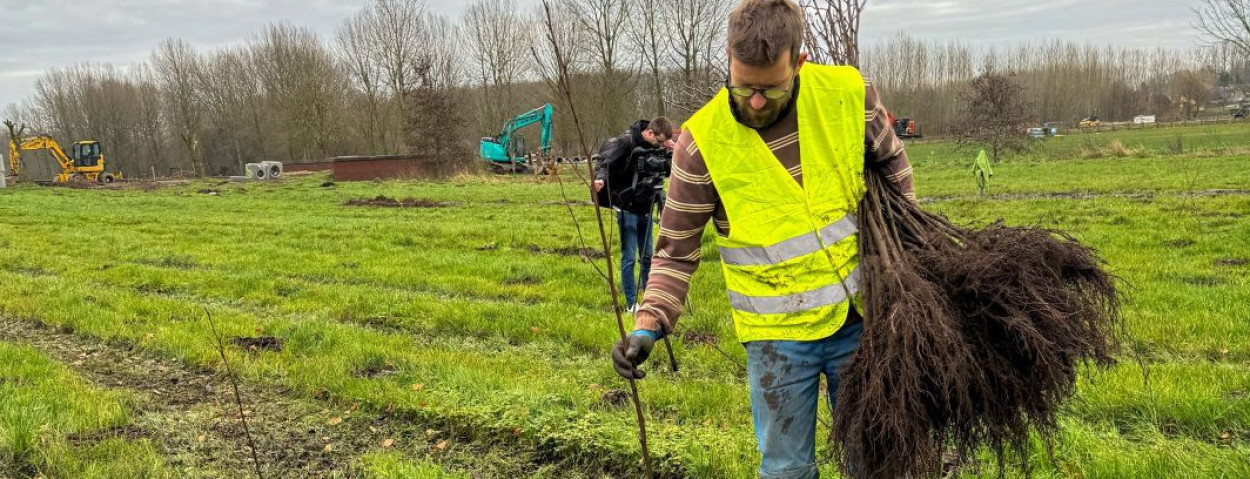 Plantactie_FA (13)1