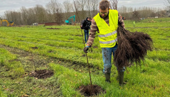 Vlaanderen telt 1.342 hectare extra bos in vergelijking met 2019