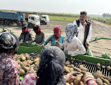 Agristo oogst succes in India, nieuwe frietproductielijn op komst