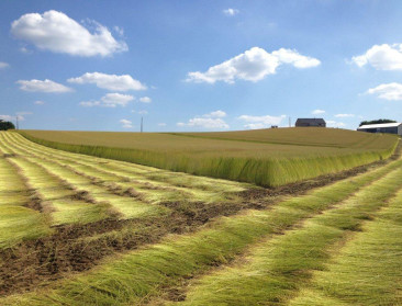 Vlaamse bio-economie doet het beter dan die in onze buurlanden