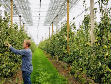 De kracht van agrivoltaics: “Het potentieel van een kleine kerncentrale”