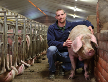 3 Belgen scoren in Europese varkenswedstrijd