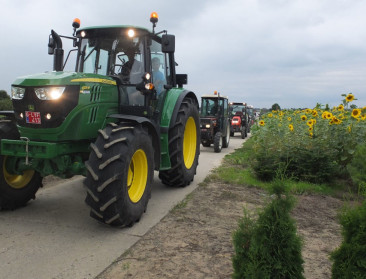 Prijsdruk is ook in de boomkwekerij onhoudbaar