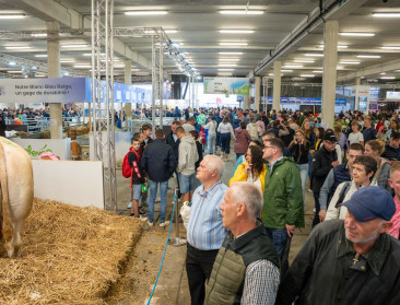 Vlamingen rijkelijk vertegenwoordigd op druilerige 88ste editie van Libramont-beurs