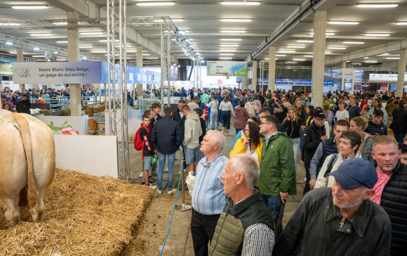 Vlamingen rijkelijk vertegenwoordigd op druilerige 88ste editie van Libramont-beurs
