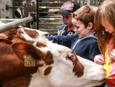 Nederlander geeft landbouwer 7,7 op 10