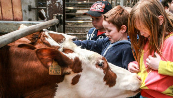 Netwerk Beleef de boerderij bereikt kaap van 100 Oost-Vlaamse bezoekboerderijen