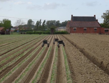 Boerenbond polst naar landbouwvisie politieke partijen