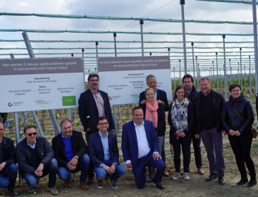 Colruyt blaast Belgische appelteelt nieuw leven in