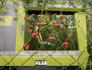 Robots (bijna) klaar om serres te veroveren