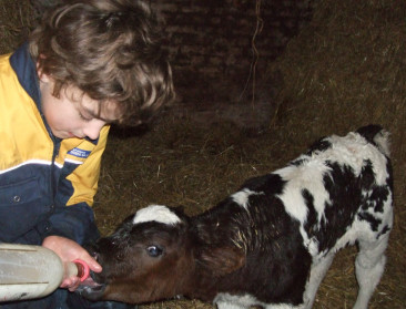 "Tintelboeren" leren kinderen waar voedsel vandaan komt