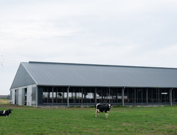 Worden vlottere vergunningen eindelijk werkelijkheid? Regering heeft hervormingsvoorstel klaar