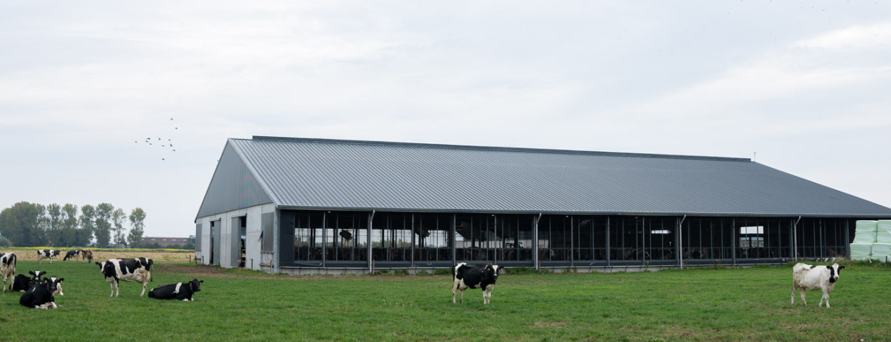 Pieter Obin, open stal