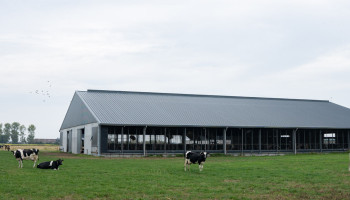 Worden vlottere vergunningen eindelijk werkelijkheid? Regering heeft hervormingsvoorstel klaar