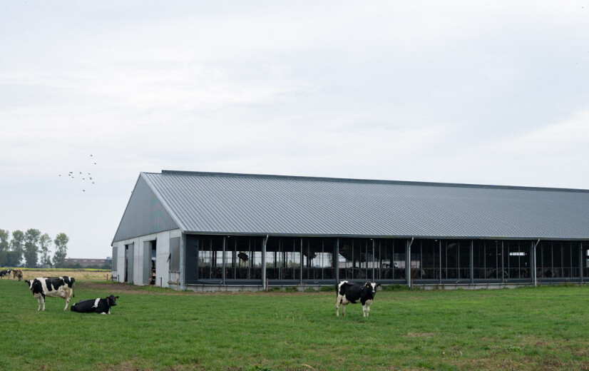 Worden vlottere vergunningen eindelijk werkelijkheid? Regering heeft hervormingsvoorstel klaar