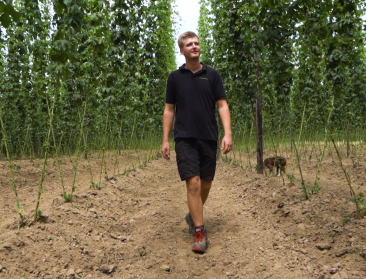 🎥 Boerenstiel met hart en ziel: hopteler Roel Desmyter van 't Hoppecruyt