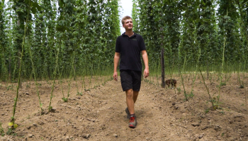 🎥 Boerenstiel met hart en ziel: hopteler Roel Desmyter van 't Hoppecruyt