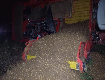 Wateroverlast: Belpotato raadt aardappeltelers aan om samen met afnemer naar oplossing te zoeken