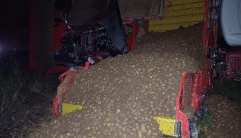 Wateroverlast: Belpotato raadt aardappeltelers aan om samen met afnemer naar oplossing te zoeken