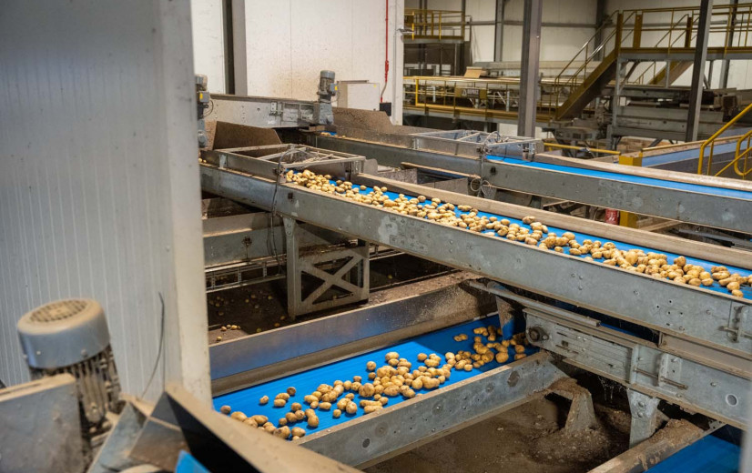 Aardappelprijs breekt record, industrie nog steeds hoopvol over komende oogst