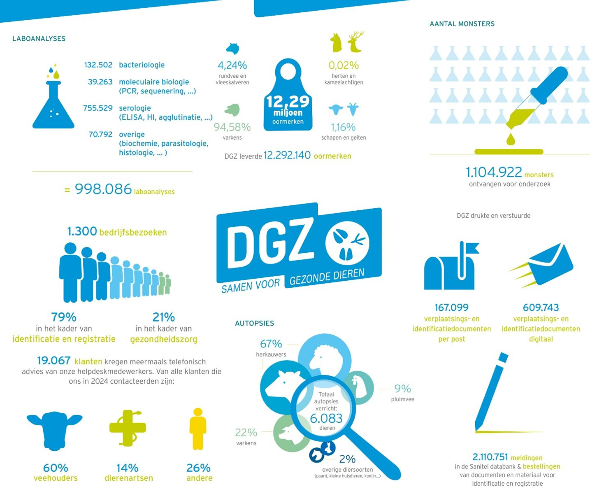 infographic dgz