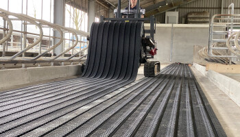 Nieuwe staltechniek voor melkkoeien op AER-lijst