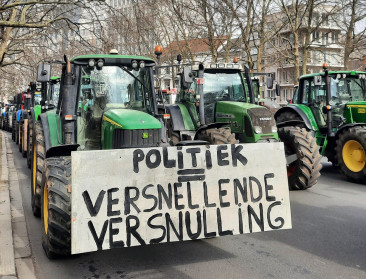 Ook andere boerengroeperingen trekken naar Grondwettelijk Hof tegen stikstofdecreet