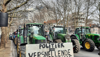 Ook andere boerengroeperingen trekken naar Grondwettelijk Hof tegen stikstofdecreet