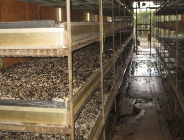 Greenyard verkoopt tuinbouwafdeling voor 120 miljoen