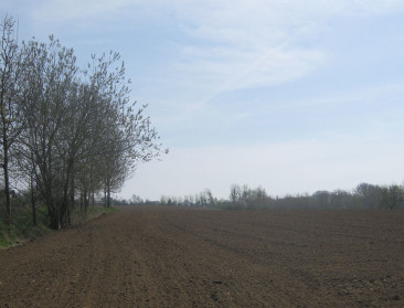 Overheid wil jaarlijks 20 hectare ruilgrond verwerven