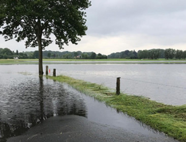 Bourgeois onderzoekt of overvloedige regenval ramp was
