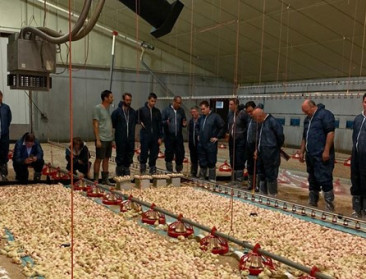 Landsbond Pluimvee toont impact beleidsbeslissingen aan commissieleden