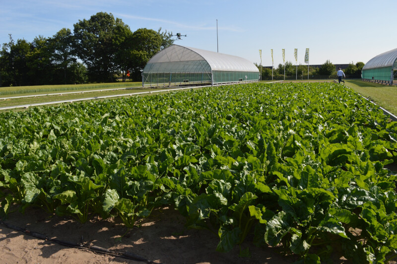 bieten_droogteproject