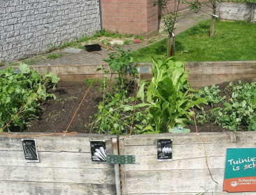Landelijke Gilden ondersteunt 135 schooltuintjes 