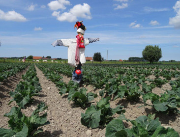 Jonge boeren hopen dat de consument hun zorgen verlicht